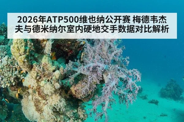 2026年ATP500维也纳公开赛 梅德韦杰夫与德米纳尔室内硬地交手数据对比解析