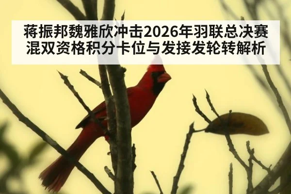 蒋振邦魏雅欣冲击2026年羽联总决赛混双资格积分卡位与发接发轮转解析